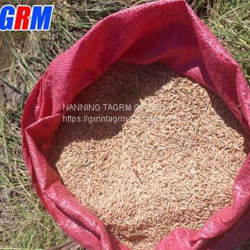 Agricultural Professional Supplier Mini Wheat Combine Harvester / Wheat Cutting Machine photo-3