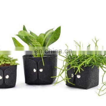 Factory OEM Product Wool Felt Grow Bag photo-2