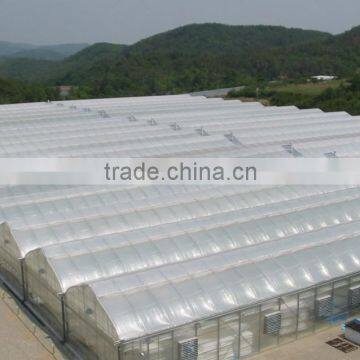 Plastic Film Solar Tunnel Greenhouse