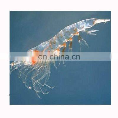 frozen krill shrimp, fodder shrimp, small white krill shrimp