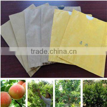 Peach protection paper bag with different size cheap price