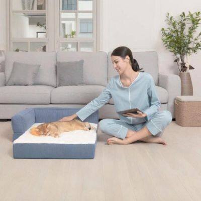 Einfaches faltbares Sofa-Bett