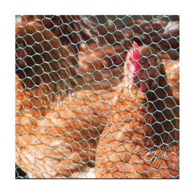 Bird Screen Netting Chicken Wire Mesh Welded Wire Mesh Galvanized Wire Mesh Custom Malla Pvc Coated Plastic Hexagonal Iron Wire Mesh photo-3