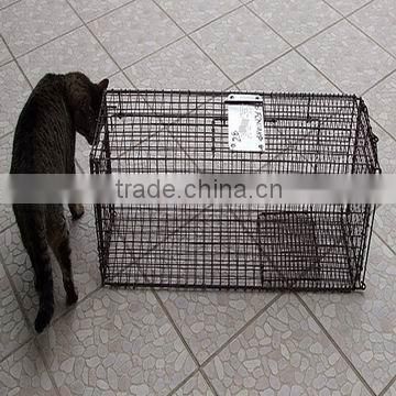 Cat Cage Trap