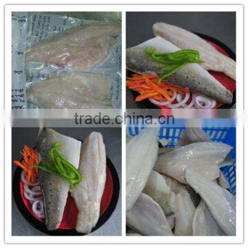 Frozen Sea bass fillet