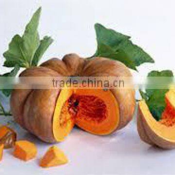 HIGH QUALITY-PUMPKIN-SPECIAL PRICE FROM VIET NAM