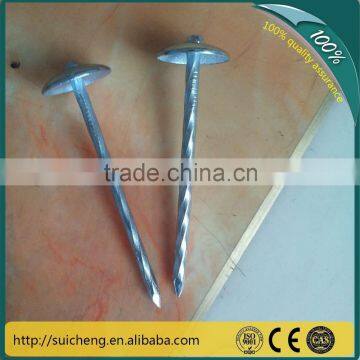 Guangzhou factory Free Sample 2 inch 2.5 inche Galvanized Umbrella Roofing Nails for sale Nails Factory