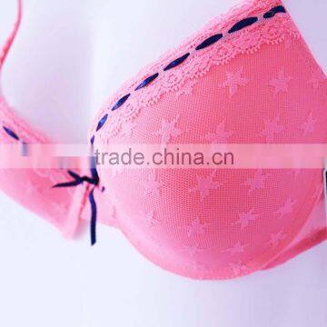 Made in China Ladies Lace Bra Mature Women Stylish Sexy Bra Supplier's Choice