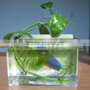 Direct supply low price Acrylic foldable fish tank with Poster Pasted on Back Board