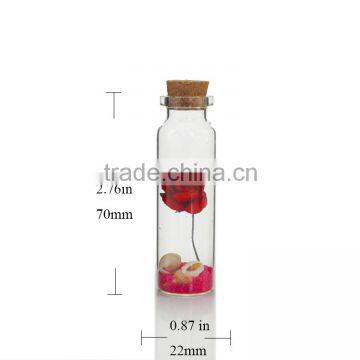 Rose craft in glass bottle for lovers as valentines day decoration