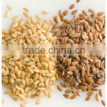 High quality linseeds