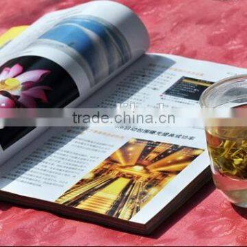 Wholesales environmental magazine book printing