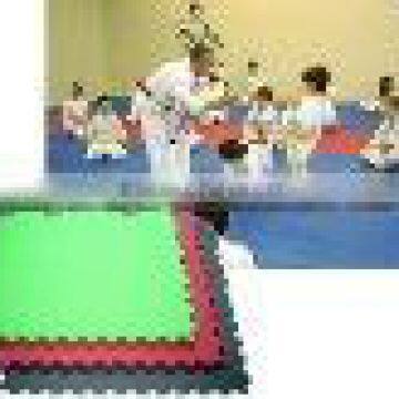 martial arts jigsaw mats ( eva mats) EVA Taekwondo mat karate mat used wrestling mats for sale