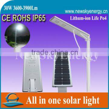 30W All In One Solar Street/Garden LED Light