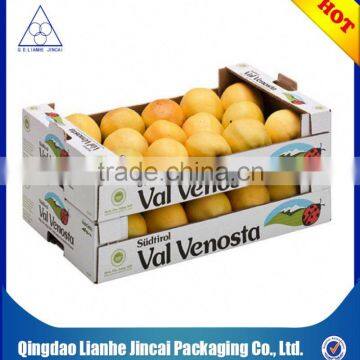 Good Quality Paper Fruit Box for Fresh Fruit photo-6