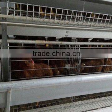 design layer chicken cages