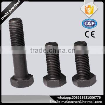 China Supplier M16-M30 High Strength Full Threaded Hex Bolt photo-4