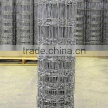 cattle fence /grassland net(manufacturer)