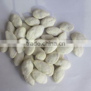 11cm 13cm roasted snow white pumpkin seeds hot sale high quality in bulk