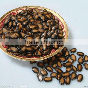 china top sale high quality big size watermelon seeds for sale