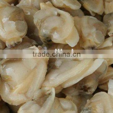 frozen shell clam meat