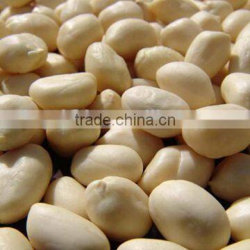 New Crop Blanched Peanut Kernels, Round Shape, Carton Packing Top Quality photo-2