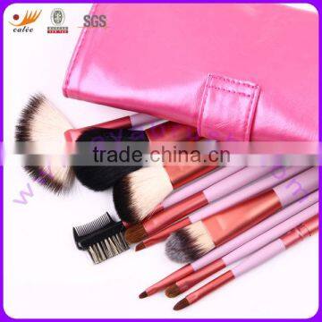 Eya Pink Makeup Brushes Collection in 10 pcs