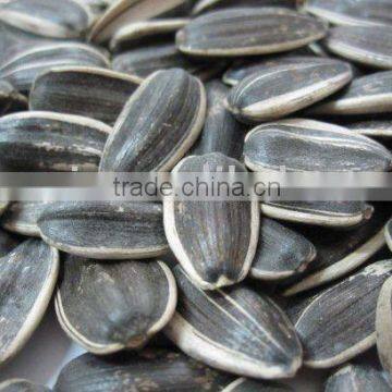 Chinese Sunflower Seeds