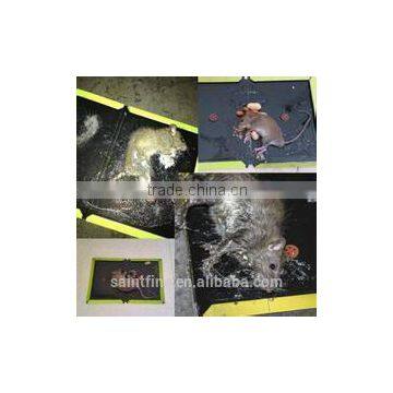 Best Selling Quality Factory Direct Supply Mouse Glue Trap photo-3