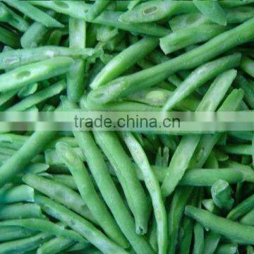 Fresh IQF green bean whole