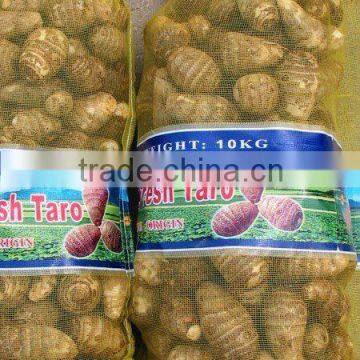 supply fresh taro