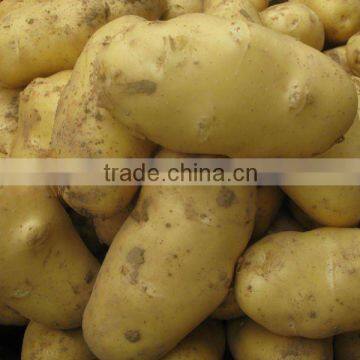 Good Potato in China