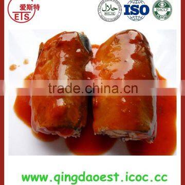 Hot sale 3-4 pieces 425g canned mackerel in tomato sauce