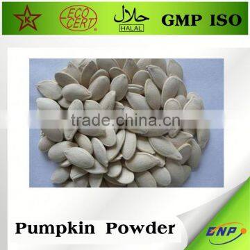 High Grade Pumpkin Seed Powder Extract photo-2