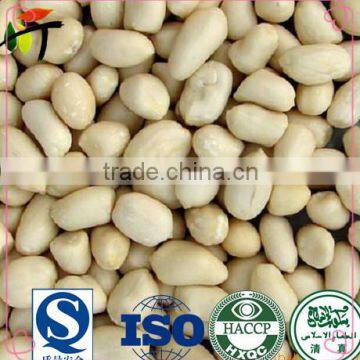 Chinese groundnut blanched peanuts kernel