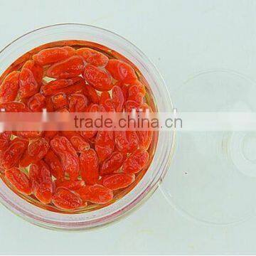 Wholesale 2016 Goji berry for healthy fruit from China manufacturer