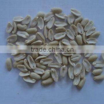 blanched peanut kernels 25/29