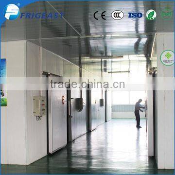 Cold Room photo-5