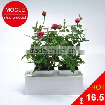 golden flower vase