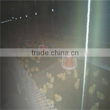 Automatic Broiler Breeding System photo-6