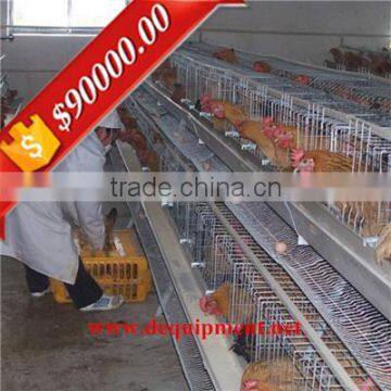 Automatic manure removal A type supplier poultry equipment