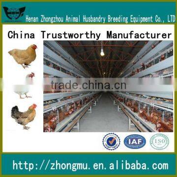 design layer chicken cages for chicken farm