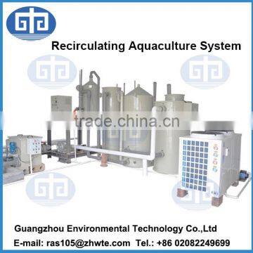 Factory Produce Aquaculture Equipment Recirculating and Recycling Aaquaculture System