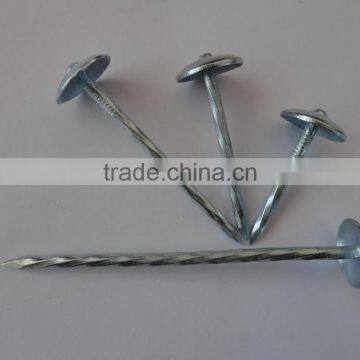 umbrella head galvanized roofing nails with ring shank