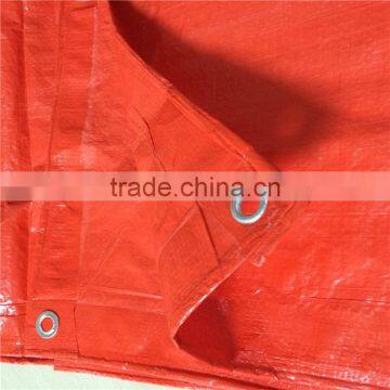 Lightweight Blue pe Tarpaulin Roll photo-5