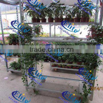 Qingdao Rolling Pallet Display Flower Trolley photo-2