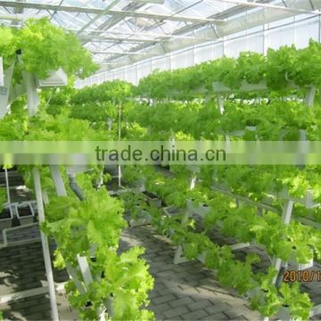 High Efficiency Commercial Hydroponics