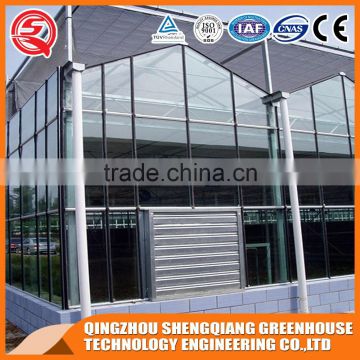 Real shot solar glass greenhouse with strong wind vegetables product