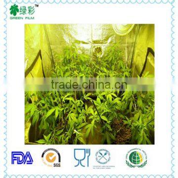 Guangzhou 2016 Indoor Grow Tent Kit Grow Tent Complete Hydroponic Grow Tent,refletive Fabric