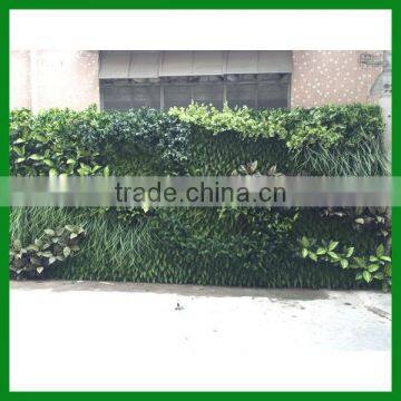 Artificial Vertical Plant Wall photo-2